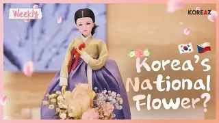Korea&rsquo;s National Flower? | KOREAZ Weekly no. 76