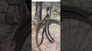 #spectaclecobra#