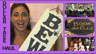 DOLLAR TREE HAUL | AUGUST 31, 2018