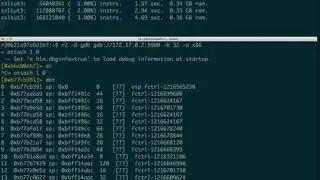 Debugging a PANDA session with radare2