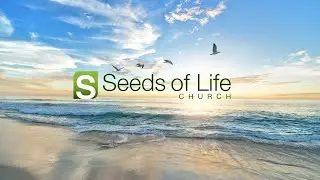 The Model Prayer | Matthew 6:5-15 | Daniel Saechang