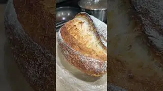 sourdough day - same day bake 🍞🙂&zwj;↕️ she is beautiful ❤️ #openbake