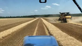 Combinen, bemesten, eggen, transport...dit is mijn stage! - Robin's vlog #6 - Vloggende jonge boeren