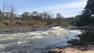 Pescaria de curimbatás gigantes, corredeiras do golfo Rio São José #natureza #pesca #pescaria #fish 