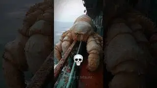 Power of cute animal transportation 💀☠️