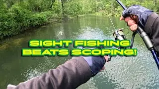 Bass Fishing the Spawn to Postspawn Transition...Number 1 bait! (Claytor Lake)
