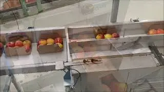 PIC-CB-TTP de ATS-Tanner para enfajado con papel de manzanas en todos los formatos de caja