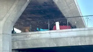 110 DOUBLE DECK FREEWAY WITH ALL THE OVER PASSES BURNT OUT & MILES OF GRAFFITI. DEMOCRATS LOVE IT.