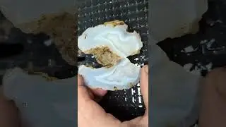 Cool Agate #rockhound #oregon #rockhounds #agate
