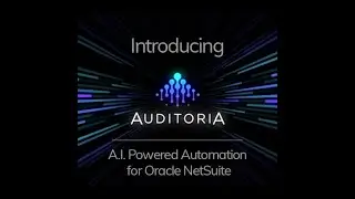 Introducing Auditoria.AI (Oracle NetSuite version)