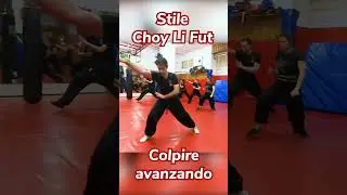 Kung Fu Tradizionale - Stile Choy Li Fut - Colpire avanzando
