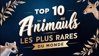 Top 10 Animaux Les Plus Rares du Monde