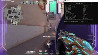 [VALORANT] COLOR SOFTWARE AIMBOT(NO NEED ARDUINO/KMBOX)