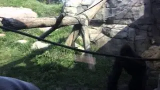 Another beautiful day at Como Zoo!