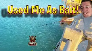 @whereruaaron использовал меня в качестве приманки в World of Warships Legends!