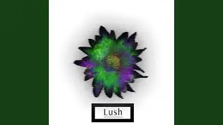Lush