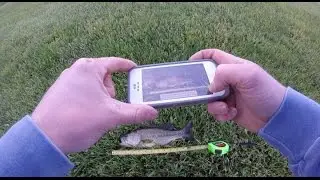 Fishing in MOBILE PHONE TOURNAMENT??? (iCatch App)