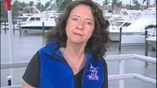 Help TBF Learn More About Black Marlin