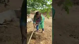 Green Donor Hero Efforts : Green Donor EERC Video no. 04