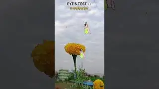 EYE'S TEST 👀 #lalparisong #eyestest #viralvideo #shorts
