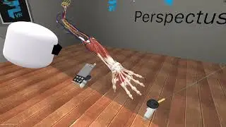 Lecture: Forearm Dissection