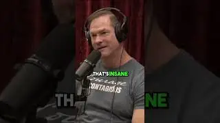 Debunking Myths about India's Relationship with Beef - Joe Rogan