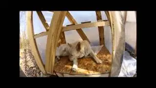 Off Grid Converted Pallet Green House 2