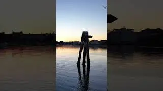 Laguna di Grado ❤️
