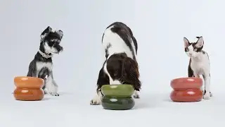 PEHOM | Souffl&eacute; Pet Bowl
