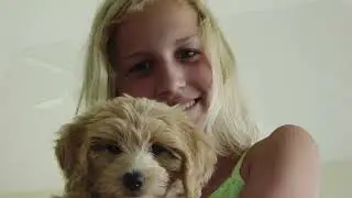Meet Rachel - The Wild Animal Sanctuary's Chief Veterinarian