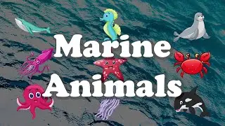 Learn Marine Animals Vocabulary | ABC | Words From Alphabets | Talking Flashcards