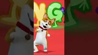 Bingo - The Dog Song - Nursery Rhymes & Kids Songs | Disco For Kids