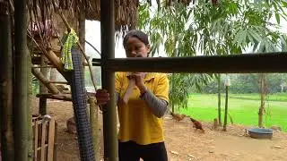Alone Life in the Countryside: Building a Bamboo Bridge From Scratch
