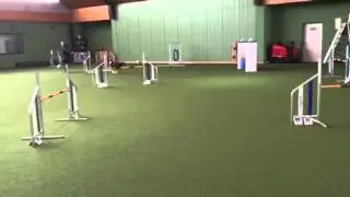 Clive - Training Februar 2015