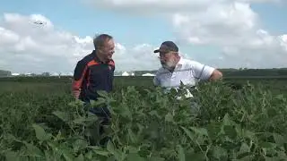 Soybean Photosynthesis: Steve Long and Stu Ellis