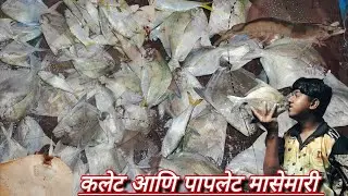 🐟🐠कलेट आणि पापलेट मासेमारी.🐟🐠|| खोल समुद्रात जाऊन पकडले मोठे कलेटआणि पापलेट.🐟🐠