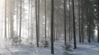 Journey Through The Frozen Forest