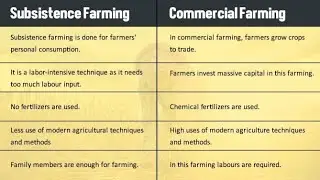 Subsistence Vs Cash Crop Farming | Pakistan Studies 🇵🇰 #education #pakistanstudies #cambridge