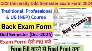 How to Fill CCS University Odd Semester Exam Form 2024 | CCSU Back Exam Form Fill Up 2024-25