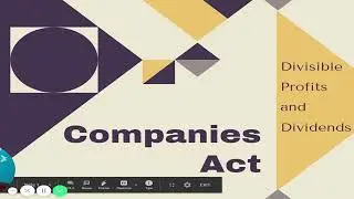 Divisible Profits and Dividend  - Profit for Company's Shareholders