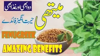 Amazing Benefits Of Fenugreek Uses Of Fenugreek In Medicine #Health Recorder
