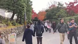 Tofuku-ji