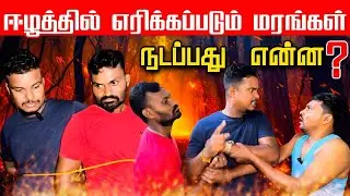யாழில் சற்றுமுன் பதற்றம் |விஷமிகளினால்  எரிக்கப்பட்ட மரங்கள் | Akkuddiyum pichumaniyum #shortvideos