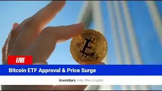 Crypto World 2024 Recap Video &ndash; The Biggest Winners & Losers! #cryptonews #crypto2025 #bitcoin