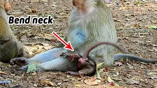 OMG...Baby Brandi shaking walk fail bend neck near mom, Briget not help let Brandi get up himself
