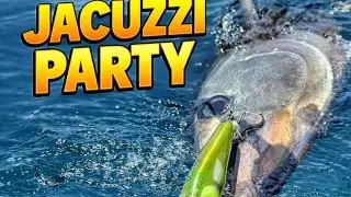 Jaccuzzi Party - Tuna EVERYWHERE! Strait of Gibraltar, Light Popping.