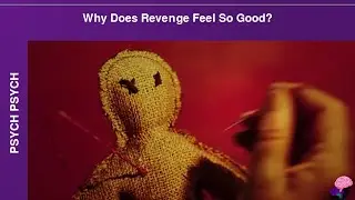 Why does Revenge feel so Good?