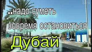 #1120 ..показалось,что потрогали птицу счастья за хвост.?😏ключевым может быть слово «показалось»🤭🌴