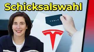 Die wichtigste Abstimmung in der Geschichte Teslas erkl&auml;rt von Alexandra Merz aka Tesla Boomer Mama