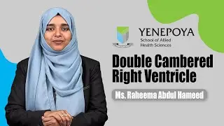 Double Cambered Right Ventricle | Cardiovascular Technology | YSAHS